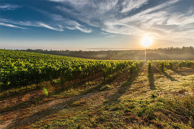 Генератор для сельского хозяйства