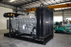 Дизельный генератор дизельного топлива 800 кВа с анти коррозионной обработки