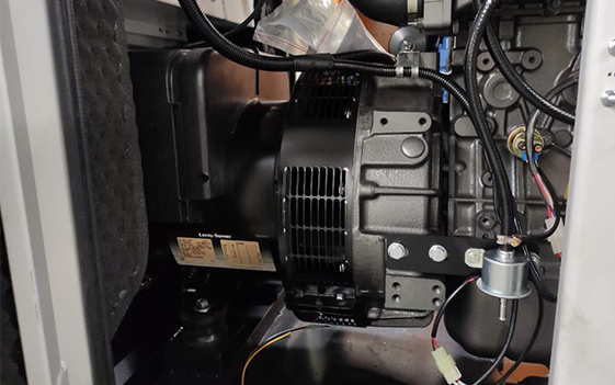 Лероя Сомер генератор