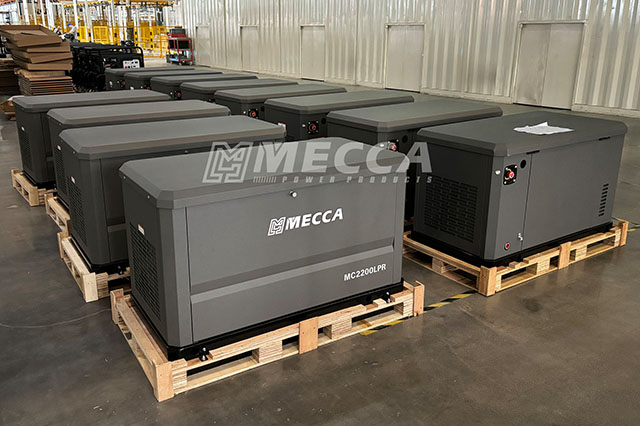 Двухтопливный генератор 8KW-24KW LPG/NG для домашнего режима ожидания 